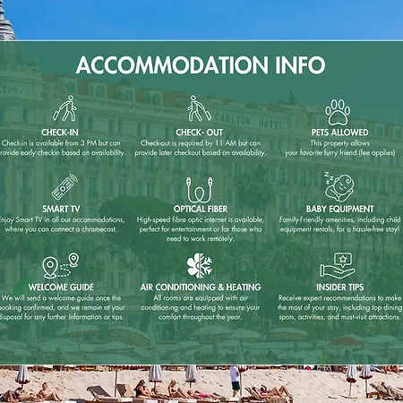 Lb Vacation I Center, Renovated With Balcony, Ideal For Holidays Or Congress! * Cannes